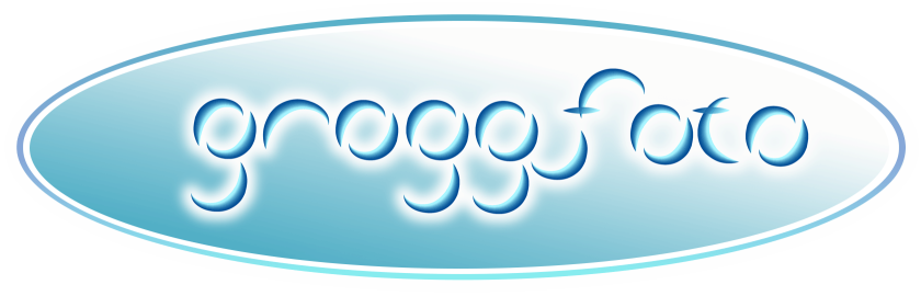Grogg Foto Logo